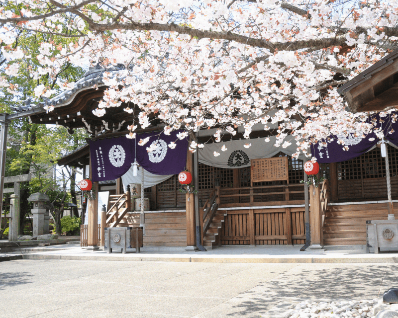 神社についてのスマホ用メイン画像