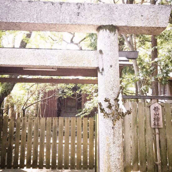 母山神社の写真